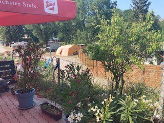 seecamping-cafe, © Wienerwald Tourismus seecamping-cafe, © Wienerwald Tourismus