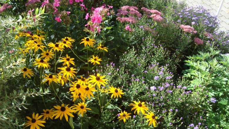 Blumen, © Fam. Sommer-Leitner Blumen, © Fam. Sommer-Leitner