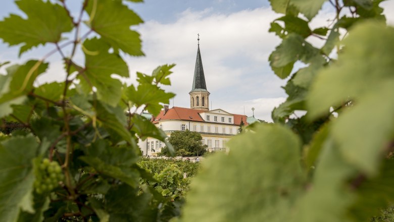 Kirche und Schloss, © Marktgemeinde Gumpoldskirchen Kirche und Schloss, © Marktgemeinde Gumpoldskirchen
