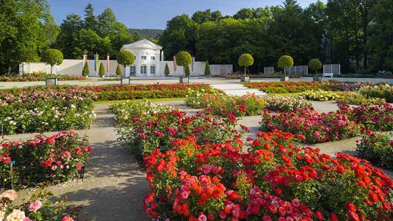 Badener Rosarium/Orangerie, © Rainer Mirau Rosengarten mit bunten Blumen und einem weißen Gebäude im Hintergrund.