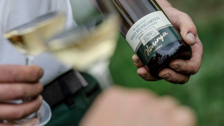 Weingut Herzinger, © schwarz-koenig.at Weingut Herzinger, © schwarz-koenig.at