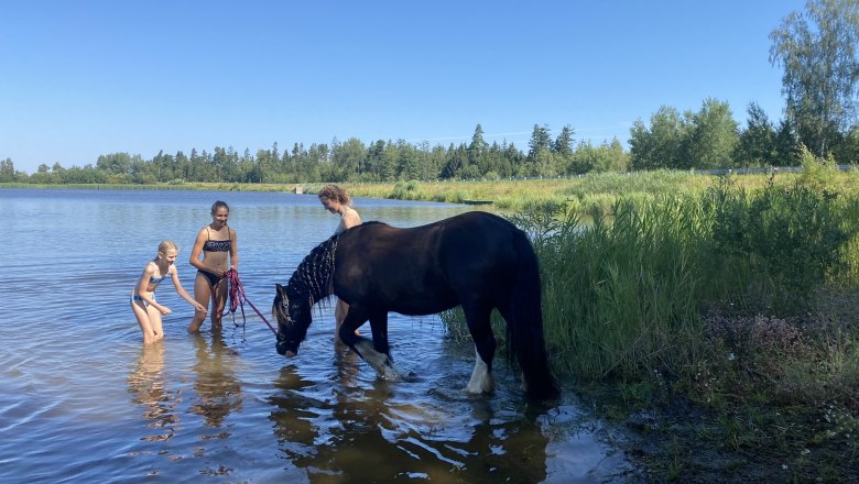Teich, © Andreas Artner Teich, © Andreas Artner