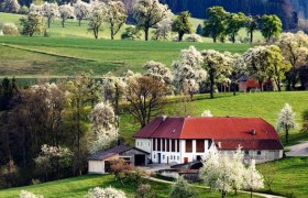 Fotopunkt Karl Lammerhuber Blick, © schwarz-koenig.at Fotopunkt Karl Lammerhuber Blick, © schwarz-koenig.at