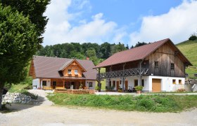 Alm Eibeck, © Groiss Zwei traditionelle Holzhäuser auf einer Alm mit grünem Hügel im Hintergrund.