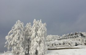 Winter am Tulbingerkogel, © F. Bläuel GesmbH Winter am Tulbingerkogel, © F. Bläuel GesmbH