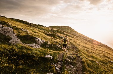 Trailrunning im Mostviertel, © Gerald Demolsky Trailrunning im Mostviertel, © Gerald Demolsky
