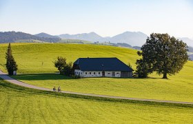 Radeln an der Moststraße, © Mostviertel Tourismus, schwarz-koenig.at Radeln an der Moststraße, © Mostviertel Tourismus, schwarz-koenig.at