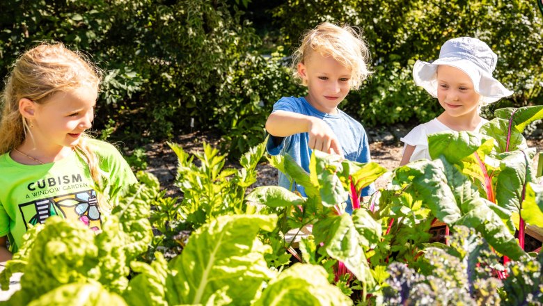 Die Garten Tulln, © Friedl und Schmatz Kinder gärtnern im Gemüsebeet
