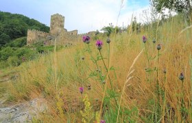 Jauerling-Runde 01: Spitz-Aggsbach Markt, © Naturpark Jauerling-Wachau Jauerling-Runde 01: Spitz-Aggsbach Markt, © Naturpark Jauerling-Wachau