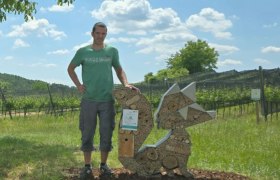 Weinbau Manuel Fuchs, © Manuel Fuchs Weinbau Manuel Fuchs, © Manuel Fuchs