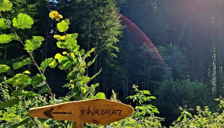 Waldbaden, © Karin Redlsteiner Waldbaden, © Karin Redlsteiner