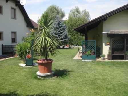 Fam. Zelenka, © Zelenka Gepflegter Garten mit Rasen, Topfpflanzen und zwei Häusern.