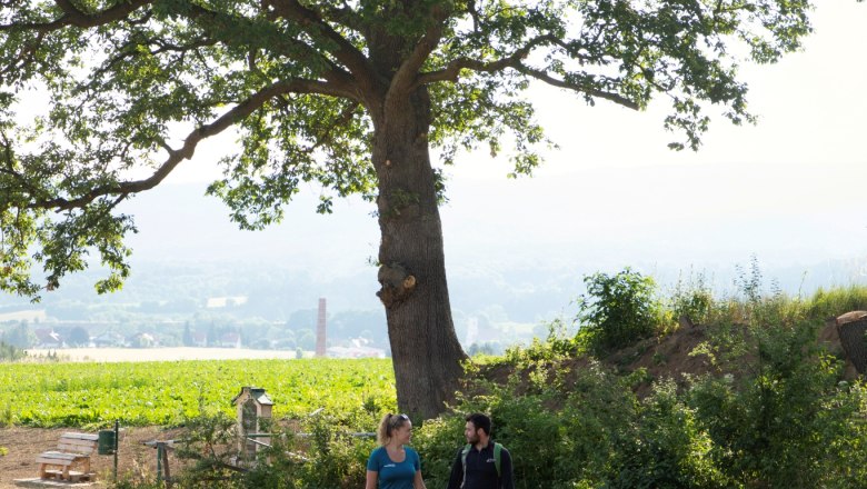 Türkeneiche, © Wiener Alpen, Lichtbild Sinawehl Ein Paar spaziert auf einer Wiese unter einem großen Baum in einer ländlichen Umgebung.
