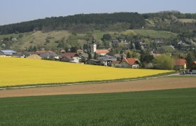 TDR-weite Landschaft Sieghartskirchen, © Franz Haslinger Landschaft mit gelbem Rapsfeld, Dorf und bewaldeten Hügeln im Hintergrund.