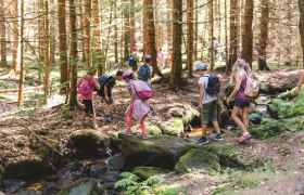 Wanderung, © Wunderwelt Wald, Fotograf Benjamin Wald Wanderung, © Wunderwelt Wald, Fotograf Benjamin Wald