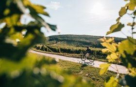 Auf zwei Rädern durch idyllische Weingärten, © Niederösterreich Werbung / Romeo Felsenreich Auf zwei Rädern durch idyllische Weingärten, © Niederösterreich Werbung / Romeo Felsenreich
