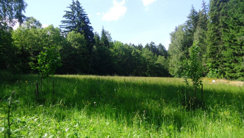 sommer-2, © 1000Krauthof sommer-2, © 1000Krauthof