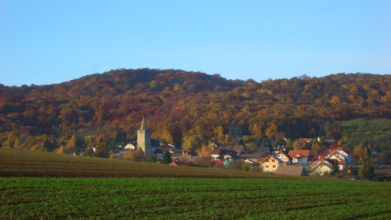 Ansicht Michelstetten, © Karl Kummernecker Landschaftsansicht von Michelstetten mit Kirche und herbstlich gefärbtem Wald im Hintergrund.