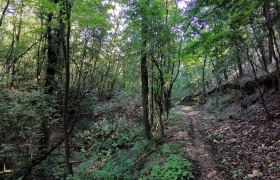 Wenzelsteg, © Retzer Land Wenzelsteg, © Retzer Land