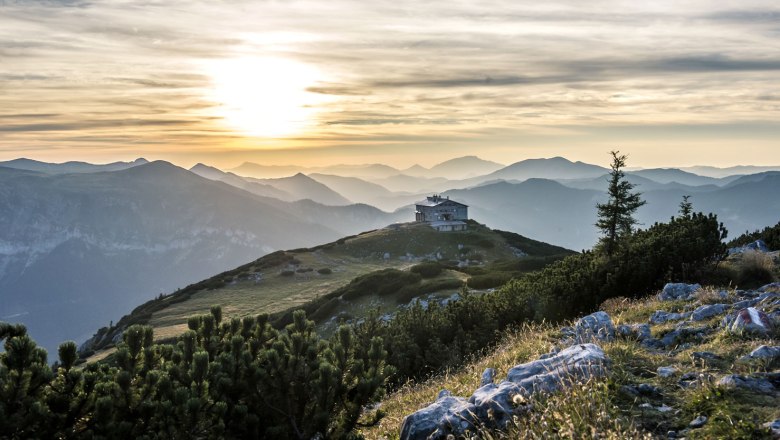 Mein Name ist Rax. Einfach nur Rax. , © Robert Herbst Mein Name ist Rax. Einfach nur Rax. , © Robert Herbst