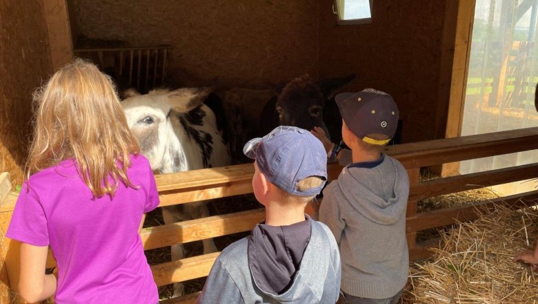 erlebnisse-am-karnerhof, © Karnerhof erlebnisse-am-karnerhof, © Karnerhof