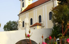 Pfarrkirche Wolkersdorf, © Fotostudio Semrad Pfarrkirche Wolkersdorf mit Statuen und Rosen im Vordergrund.