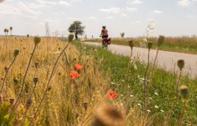 Radtour, © NÖW / Franziska Consolati Radtour, © NÖW / Franziska Consolati