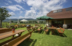 Heurigengastgarten der Familie Kendl, © Monika Loeff Heurigenbänke auf der grünen Wiese