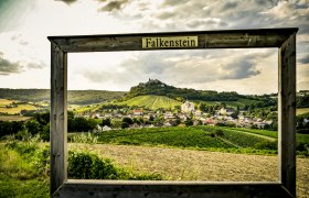 Blick auf Burgruine Falkenstein, © Weinviertel Tourismus / POV Robert Herbst Blick auf das Dorf Falkenstein mit Weinbergen und einer Burgruine im Hintergrund, eingerahmt von einem Holzrahmen mit der Aufschrift 'Falkenstein'.