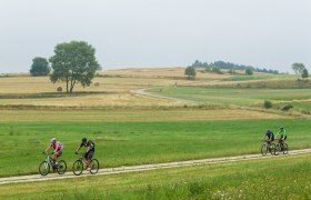 MTB Waldviertel, © © Waldviertel Tourismus, Erwin Haiden, nyx.at MTB Waldviertel, © © Waldviertel Tourismus, Erwin Haiden, nyx.at