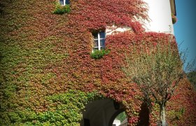 Bezirksheimatmuseum Lilienfeld, © zVg Ein historisches Gebäude mit Efeu bewachsen, das einen Torbogen hat.