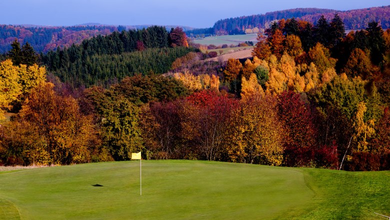 Golfclub Ottenstein, © Fotocredit: Helmut Lackinger, Diamond Club Ottenstein Golfplatz mit Herbstbäumen im Hintergrund, gelbe Fahne auf dem Grün.