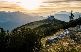 Bergsommer auf der Rax, © Niederösterreich Werbung/Robert Herbst Die sanften Hügel der Rax erstrahlen im warmen Licht der Abendsonne, während die bunten Wildblumen im Vordergrund sanft im Wind wiegen. Ein Gefühl von Freiheit und Abenteuer durchzieht die Luft, perfekt für eine entspannte Wanderung oder ein gemütliches Hüttenhüpfen.