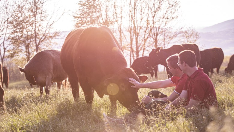 Weidetierhaltung, © Nimo Zimmerhackl Zwei Personen sitzen auf einer Wiese und streicheln eine Kuh, umgeben von weiteren Kühen bei Sonnenuntergang.
