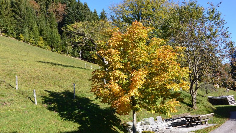 Himbrechtsöd, © Himbrechtsöd Himbrechtsöd, © Himbrechtsöd