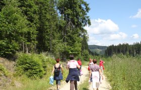 Eisenwurzenweg 608, © Tourismusverein Bärnkopf Eisenwurzenweg 608, © Tourismusverein Bärnkopf