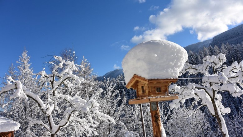 Vogelhäuschen, © Doris Jagersberger Vogelhäuschen, © Doris Jagersberger