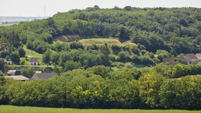 Der Hausberg von Gaiselberg ist im Gelände eindrucksvoll zu sehen, © Peter Ableidinger / Archiv Krahuletz-Museum Landschaft mit bewaldetem Hügel und Häusern im Vordergrund.
