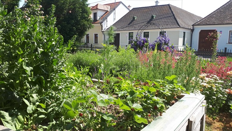 angergaerten-unterretzbach_hochbeet_c_die-gaerten-niederoesterreichs, © "Natur im Garten" Schaugärten Ein üppiger Garten mit Hochbeet und blühenden Pflanzen vor einem traditionellen Haus.