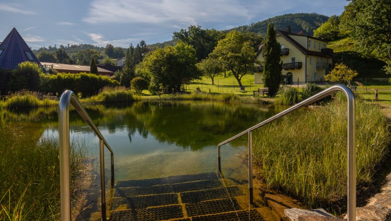 Hotel ResidenzWachau, © Niederösterreich Werbung / Maximilian Pawlikowsky Treppen führen in einen Teich mit klarem Wasser, umgeben von grüner Landschaft und einem Haus im Hintergrund, unter einem strahlend blauen Himmel mit Sonne.