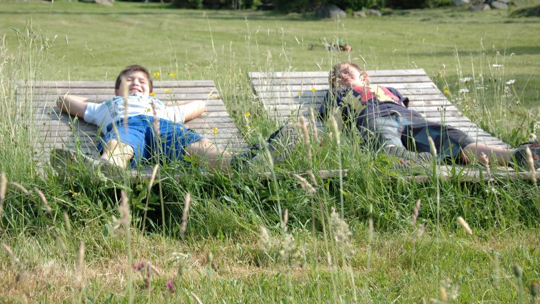 In der Wiese liegen und Schäfchenwolken zählen, © Waldpension Nebelstein/Fam. Schmidt In der Wiese liegen und Schäfchenwolken zählen, © Waldpension Nebelstein/Fam. Schmidt