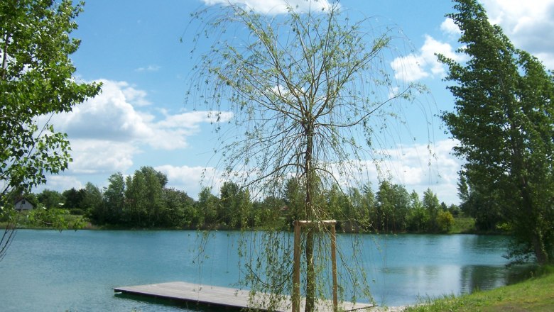 Badeteich Laxenburg, © Gemeinde Laxenburg Ein kleiner Steg an einem See mit Bäumen und blauem Himmel im Hintergrund.