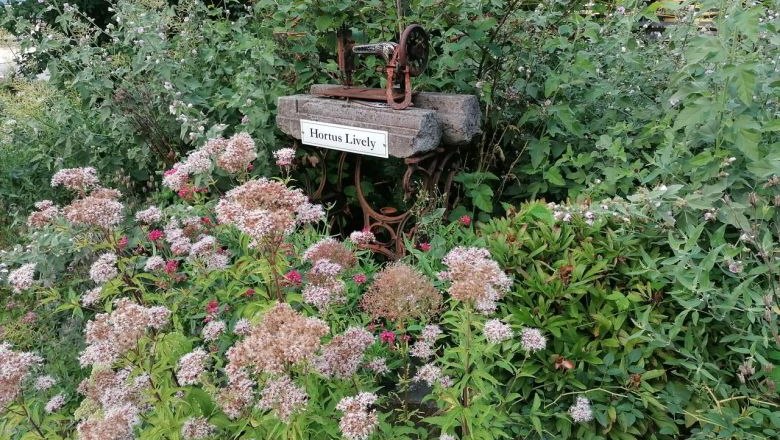 Upcycling in Szene gesetzt, © Tina Perina Alte Nähmaschine in einem Garten mit Blumen und Schild 'Hortus Lively'.