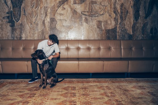 Urlaub mit Hund? Ja natürlich im At the Park Hotel, © Ian Ehm Urlaub mit Hund? Ja natürlich im At the Park Hotel, © Ian Ehm