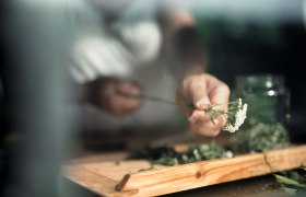 Kräutergarten Wohlbehagen, © Moststraße, dochbodnliacht Kräutergarten Wohlbehagen, © Moststraße, dochbodnliacht