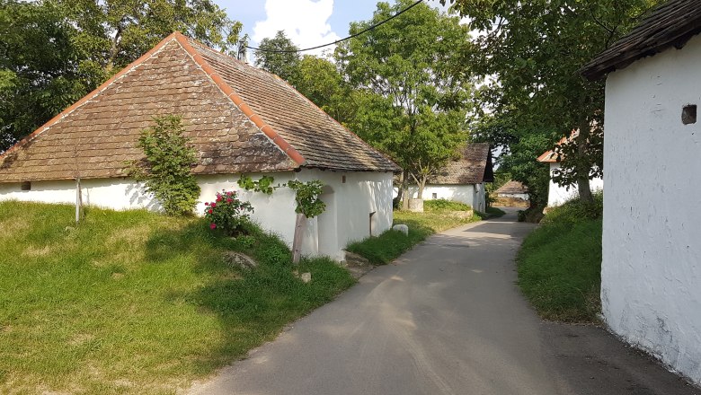 Öhlbergkellergasse, © Alexandra Mayer Eine malerische Kellergasse mit traditionellen Weinkellern und Presshäusern in einer ländlichen Umgebung.