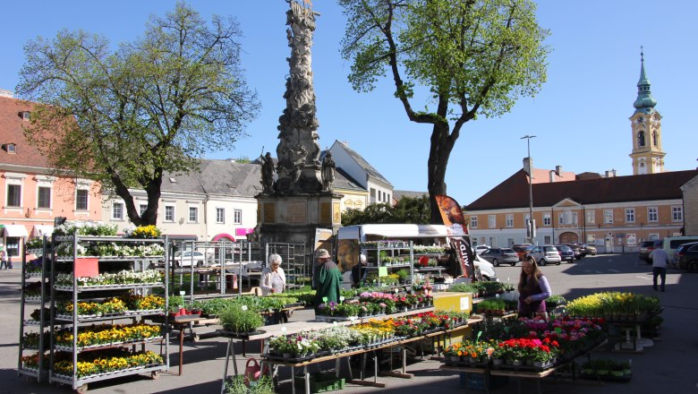 Wochenmarkt Stockerau, © Johannes Ehn Wochenmarkt in Stockerau mit Blumenständen und einer barocken Säule im Hintergrund.