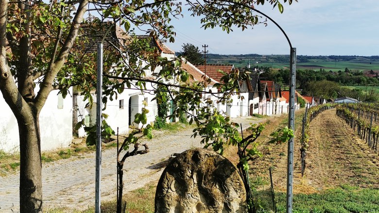 Kleine Kellertrift Haugsdorf, © Weinstraße Weinviertel Weinberge und Kellerhäuser in Haugsdorf, Österreich.