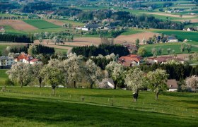 Fotopunkt Birnbaumzeile Karl Lammerhuber Blick, © schwarz-koenig.at Fotopunkt Birnbaumzeile Karl Lammerhuber Blick, © schwarz-koenig.at