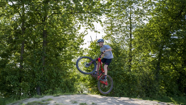 Bikearena Persenbeug-Gottsdorf Fun and action, © Robert Herbst Person auf einem Mountainbike macht einen Sprung in einem Waldgebiet.
